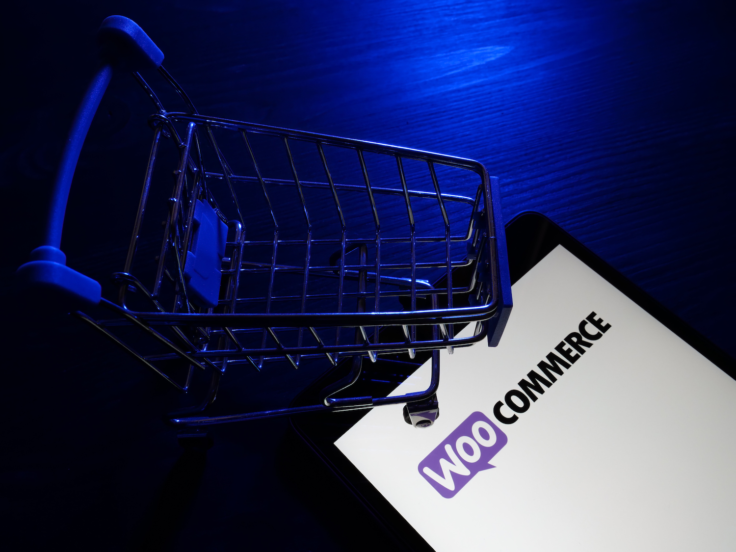 WooCommerce Development Services
